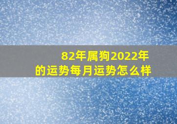 82年属狗2022年的运势每月运势怎么样