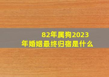 82年属狗2023年婚姻最终归宿是什么