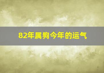 82年属狗今年的运气