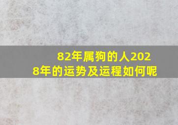 82年属狗的人2028年的运势及运程如何呢