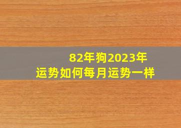 82年狗2023年运势如何每月运势一样