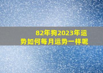 82年狗2023年运势如何每月运势一样呢