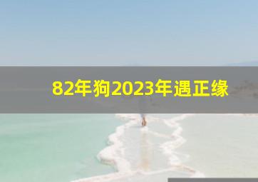 82年狗2023年遇正缘