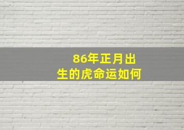 86年正月出生的虎命运如何