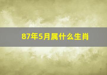 87年5月属什么生肖