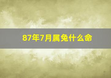 87年7月属兔什么命