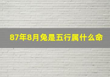 87年8月兔是五行属什么命