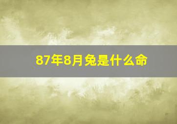 87年8月兔是什么命