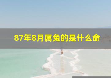 87年8月属兔的是什么命