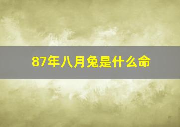 87年八月兔是什么命