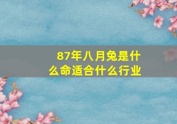 87年八月兔是什么命适合什么行业