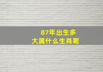 87年出生多大属什么生肖呢