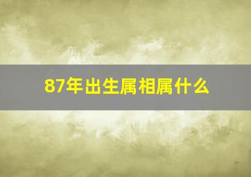 87年出生属相属什么