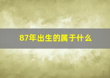 87年出生的属于什么