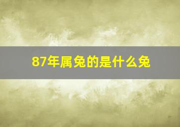 87年属兔的是什么兔