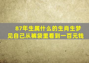 87年生属什么的生肖生梦见自己从裤袋里看到一百元钱