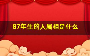 87年生的人属相是什么