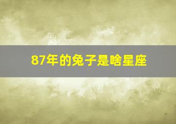 87年的兔子是啥星座