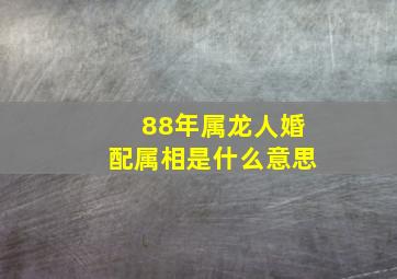 88年属龙人婚配属相是什么意思