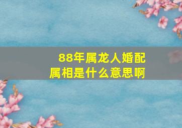 88年属龙人婚配属相是什么意思啊