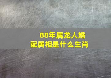 88年属龙人婚配属相是什么生肖