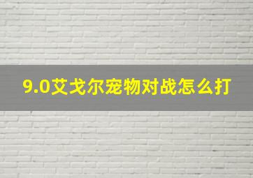 9.0艾戈尔宠物对战怎么打