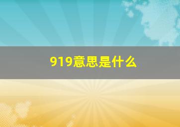 919意思是什么