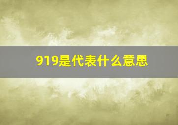 919是代表什么意思