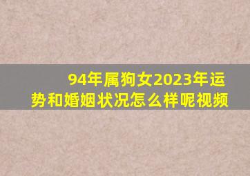 94年属狗女2023年运势和婚姻状况怎么样呢视频