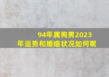 94年属狗男2023年运势和婚姻状况如何呢