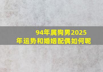 94年属狗男2025年运势和婚姻配偶如何呢