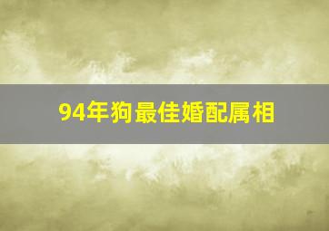 94年狗最佳婚配属相