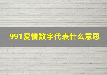 991爱情数字代表什么意思