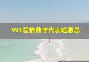 991爱情数字代表啥意思