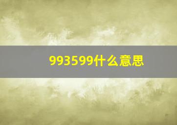 993599什么意思