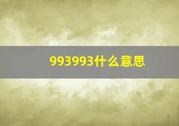 993993什么意思