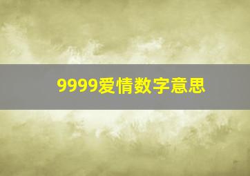 9999爱情数字意思