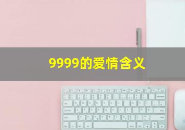 9999的爱情含义