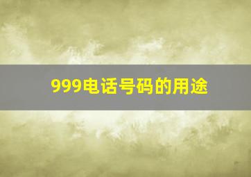 999电话号码的用途