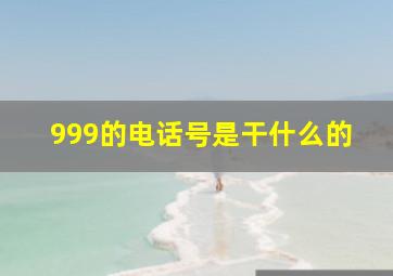 999的电话号是干什么的