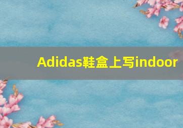 Adidas鞋盒上写indoor