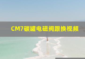 CM7碳罐电磁阀跟换视频