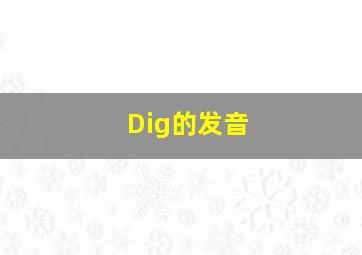 Dig的发音