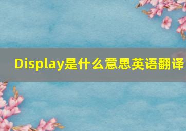 Display是什么意思英语翻译