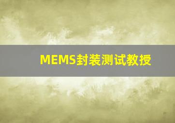 MEMS封装测试教授