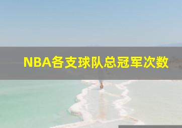 NBA各支球队总冠军次数