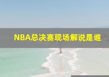 NBA总决赛现场解说是谁