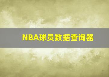 NBA球员数据查询器