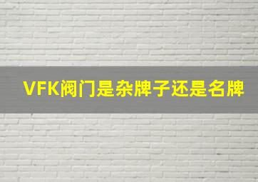 VFK阀门是杂牌子还是名牌