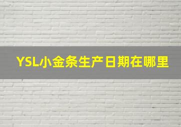 YSL小金条生产日期在哪里